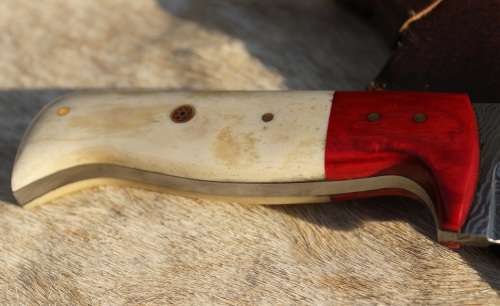 Hunter Damascus Knife