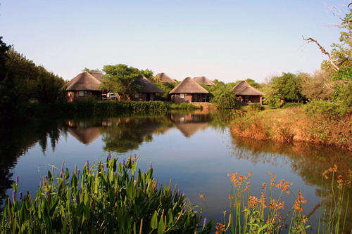 Ngwenya Lodge - Midweek 18 - 22 Feb 2013 (Sleep 6)