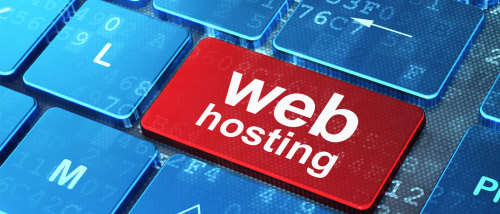 ***On Sale  Website Hosting with CPanel for 6 Months, ***R1 No Reserve