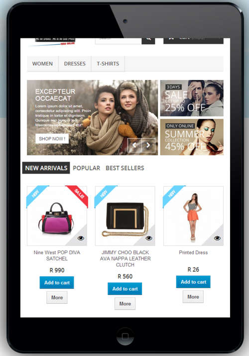 Designerhandbags.co.za eCommerce Website on R1 Auction