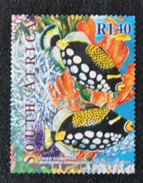 MARINE LIFE - SOUTH AFRICA