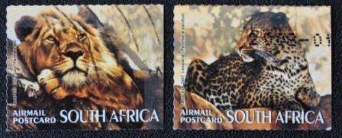 SOUTH AFRICA 2007 - WILD CATS - U/S