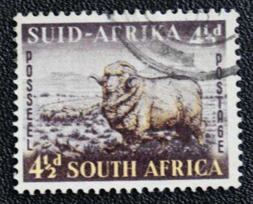 UNION OF SA 1953 - SACC 145