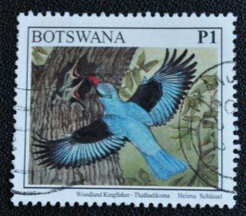 BOTSWANA - BIRDS