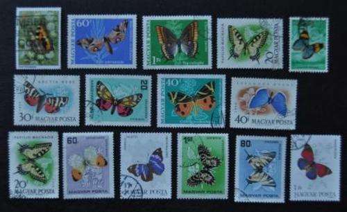 THEMATIC - BUTTERFLIES -  U/S