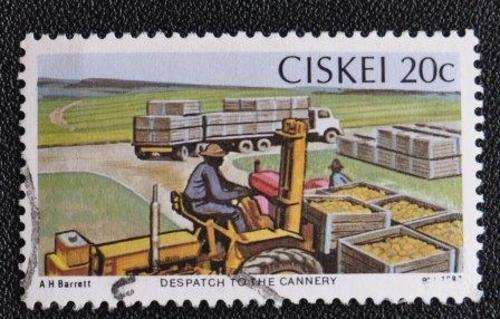 CISKEI - CANNERY