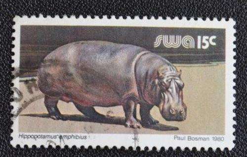 SOUTH WEST AFRICA - WILD ANIMALS