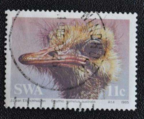 SOUTH WEST AFRICA - BIRDS - OSTRICH