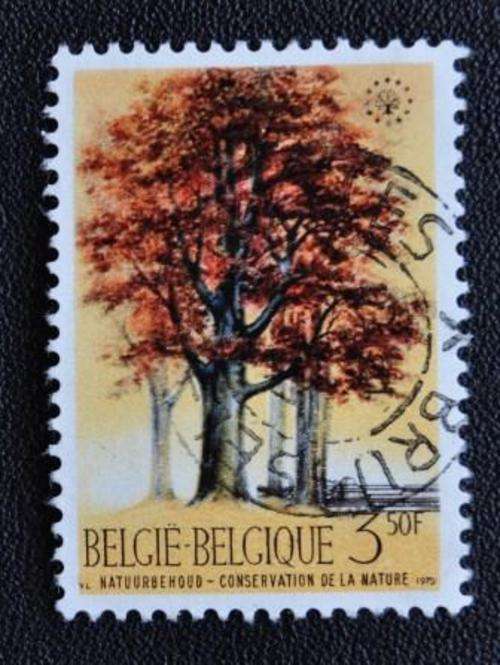 BELGIUM - U/S