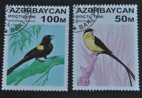 BIRDS - U/S