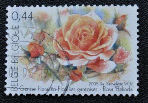 BELGIUM - FLOWER - U/S