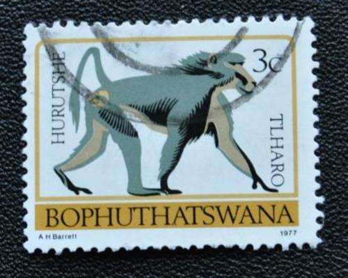 BOPHUTHATSWANA - WILD ANIMAL - U/S