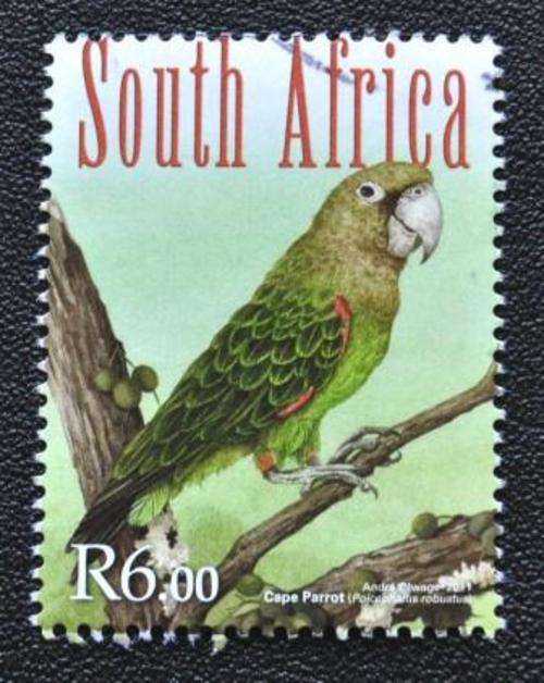 SA - BIRD - U/S