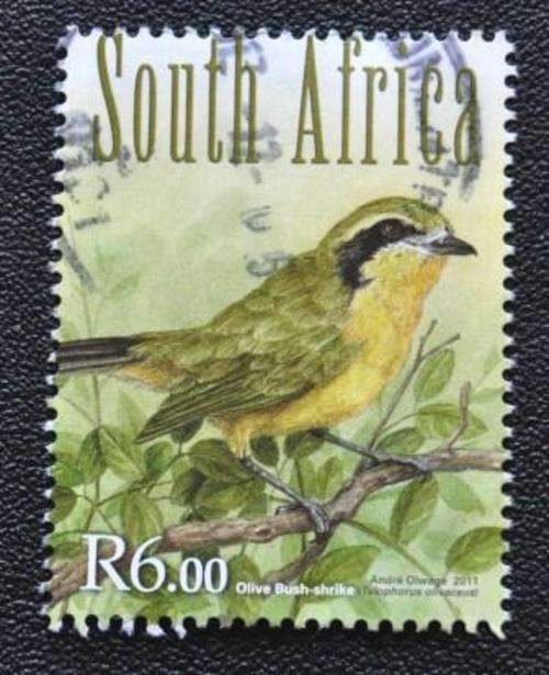 SA - BIRD - U/S