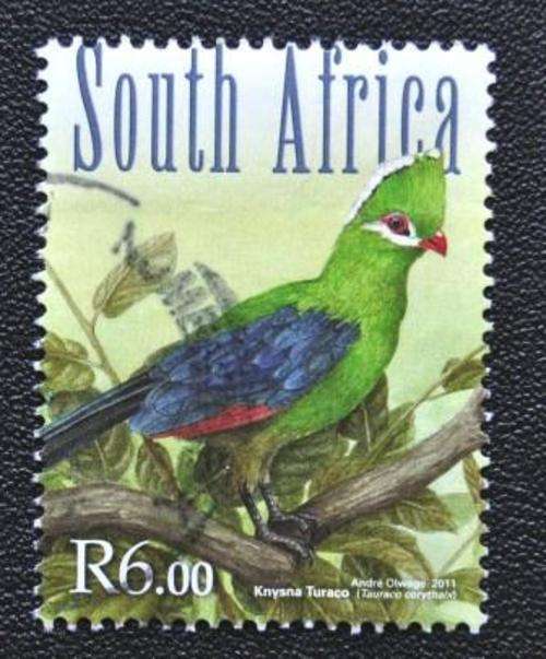 SA - BIRD - U/S