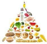 A Guide To Healthy Living(Action)