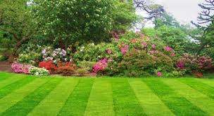 !!! Gardening for the Million(Action)