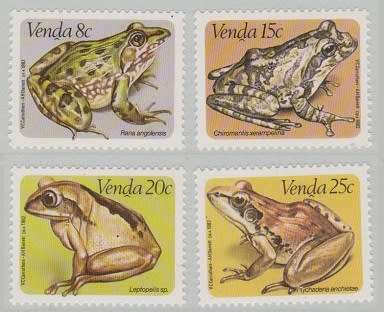 Venda- Frogs 1982 CV R36.00 UM