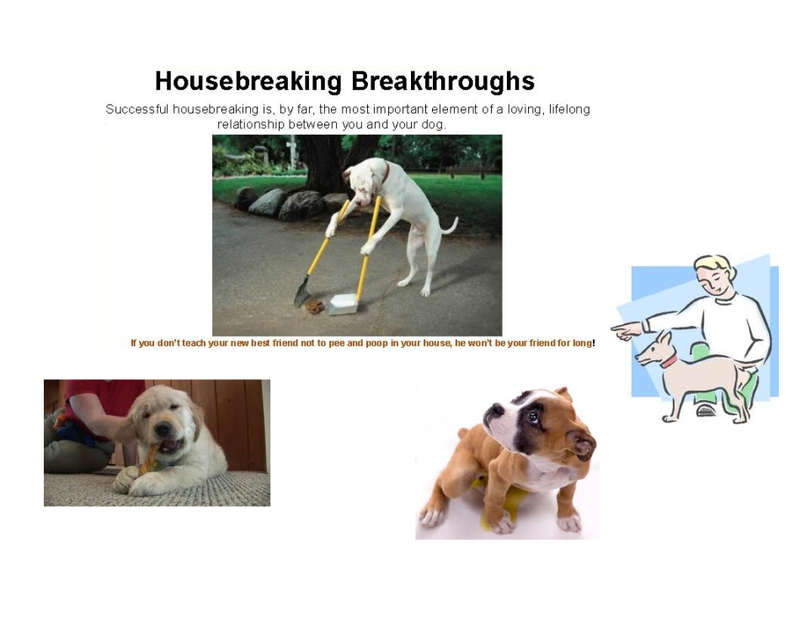 Housebreaking Breakthroughs