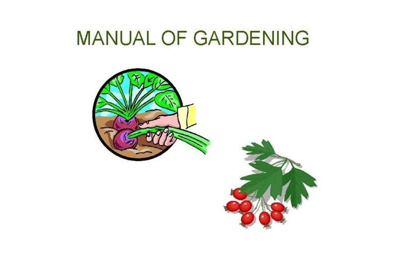 MANUAL OF GARDENING