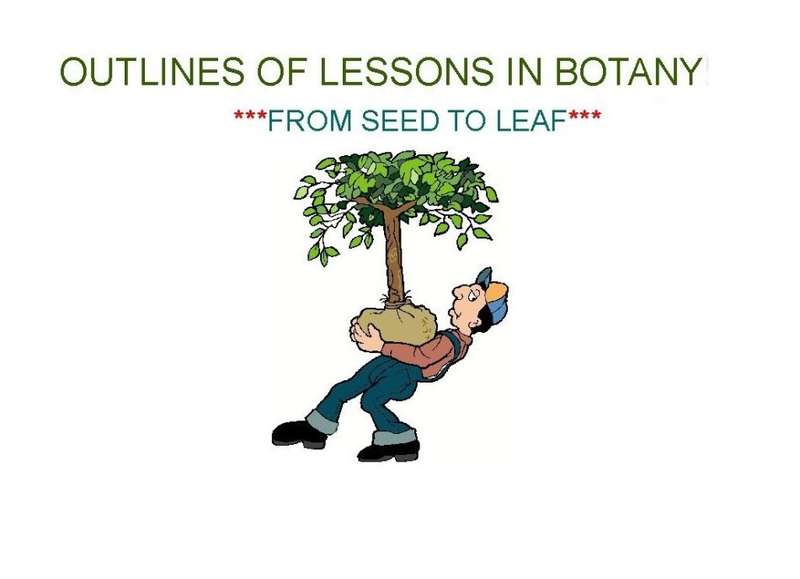 OUTLINES OF LESSONS IN BONTANY