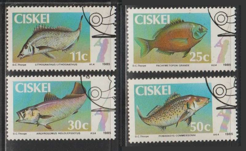 Ciskei Fish 1985 CV R65+