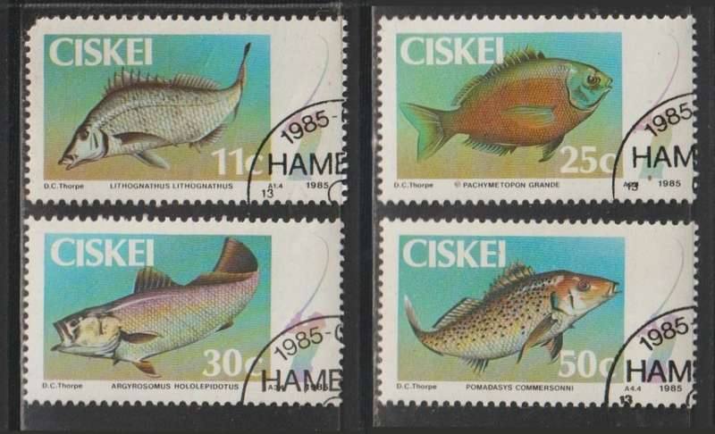 Ciskei Fish 1985 CV R65+