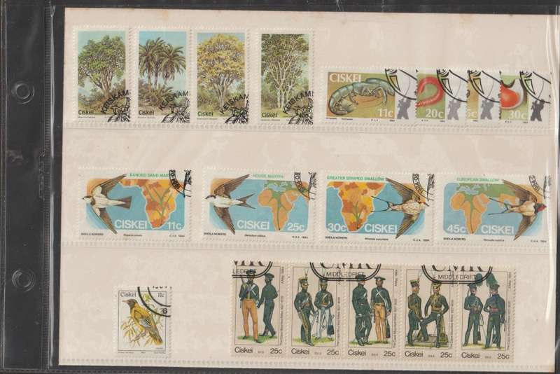 Ciskei 1984 Year Pack CV R180+ (Canceled)