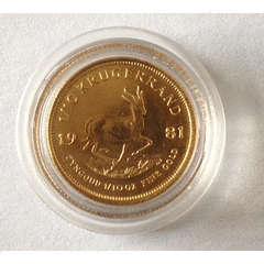1/10oz Gold bullion coin