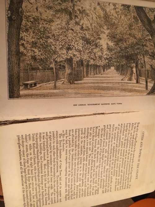 Cape of Good Hope Official Handbook 1886