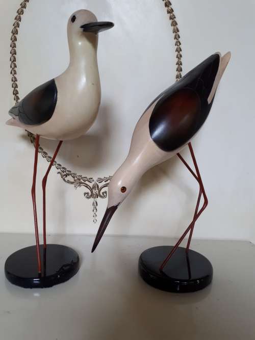 Feathers of Knysna x2