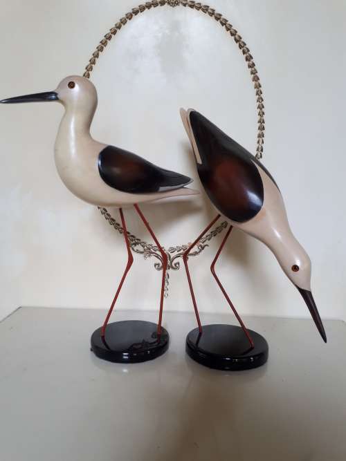 Feathers of Knysna x2