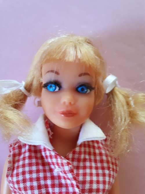 Vintage Skipper barbie doll (TLC)