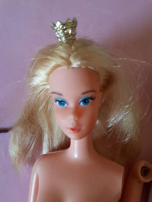 Vintage Barbie and friends lot-TLC