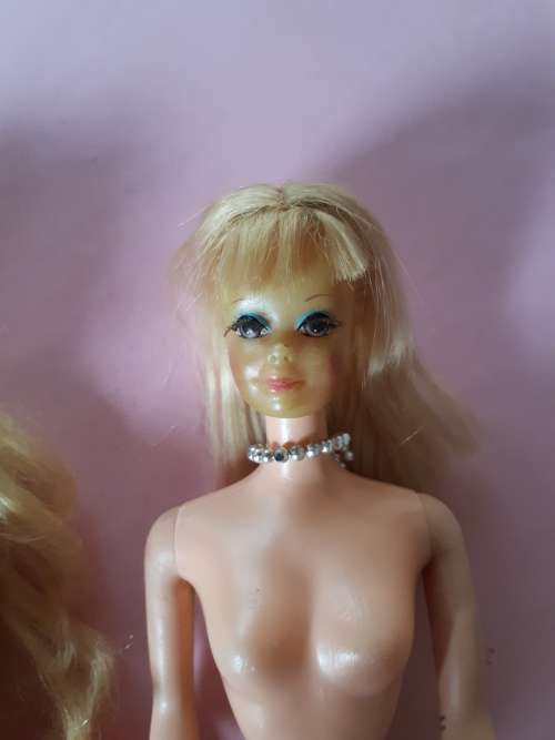 Vintage Barbie and friends lot-TLC