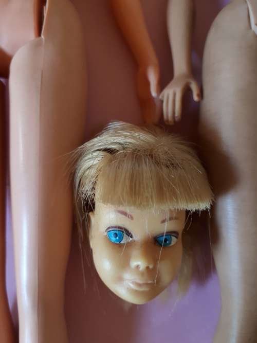 Vintage Barbie and friends lot-TLC