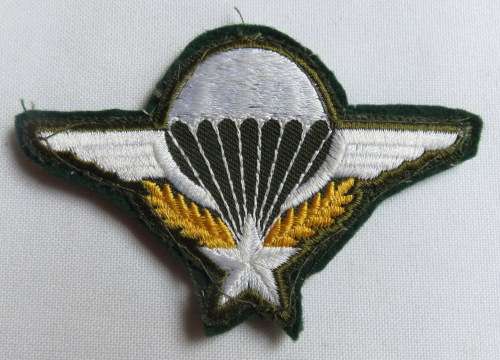 PARA WING FRANCE-LAO STUDENTS