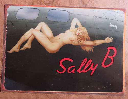 WW2 BOMBER ART-METAL SIGN-MEASURES 28X20CM
