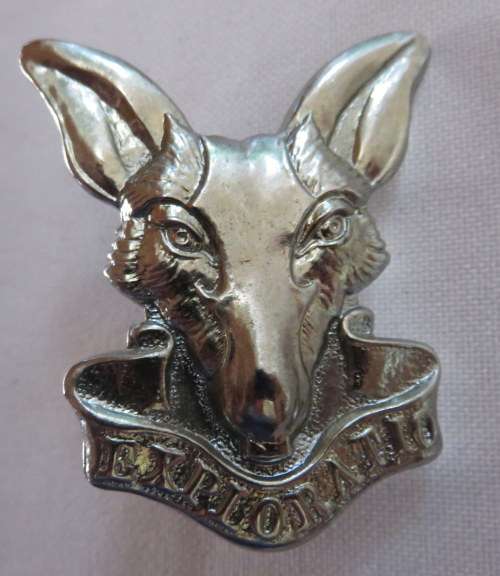 SA MILITARY INTELLIGENCE CORPS,CHROMED CAP BADGE-2 LUGS