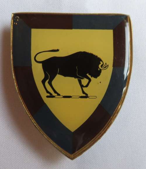 SA ARMY COLLEGE 2ND TYPE FLASH-ORIGINAL-3 PINS