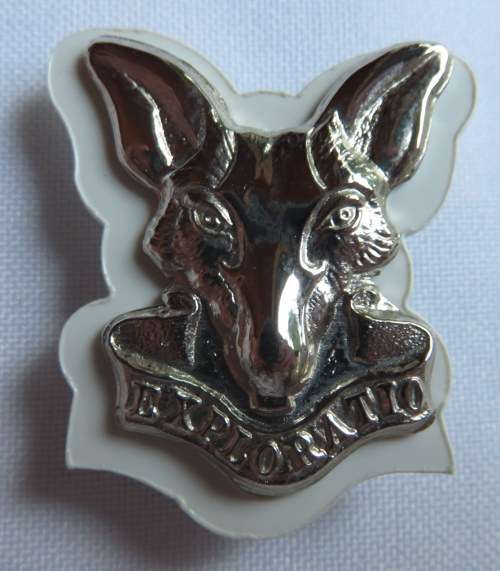 SA INTELLIGENCE CORPS SMALL CAP BADGE WORN FROM 2002-2 LUGS