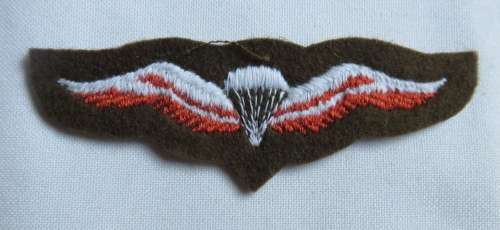 SA PARACHUTE FREE FALL WING 1ST TYPE APPEARS IN DEFENCE FORCE-CATALOGUE WITH ICN NO 84455-18-408-389