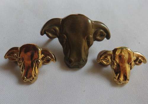 TRANSKEI DEFENCE FORCE,GILDING METAL OFFICERS CAP & COLLARS