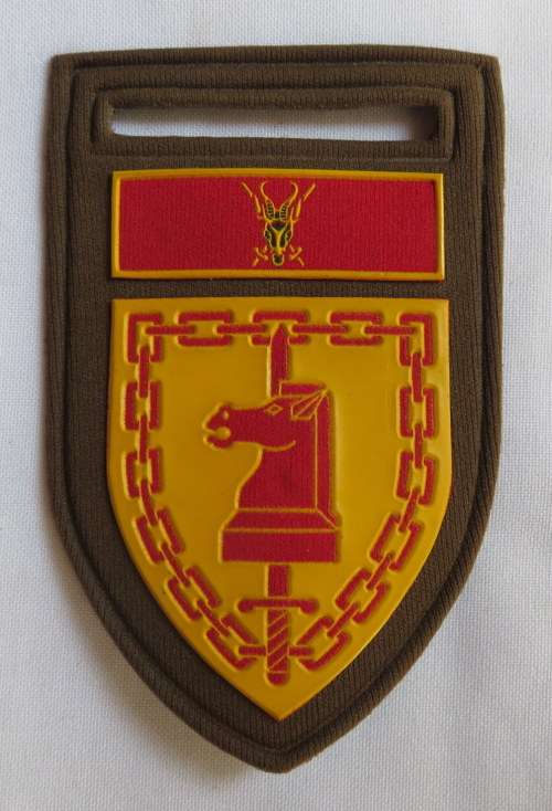 SA ARMY BATTLE SCHOOL TUPPER FLASH- ONE PIN