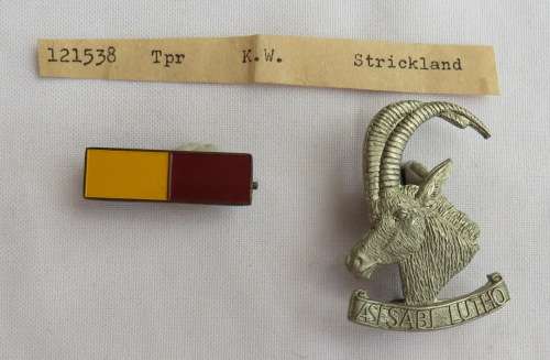 RHODESIA ARMOURED CAR REGIMENT BERET BADGE & BAR(2ND PATTERN)WORN 1970'S-1980