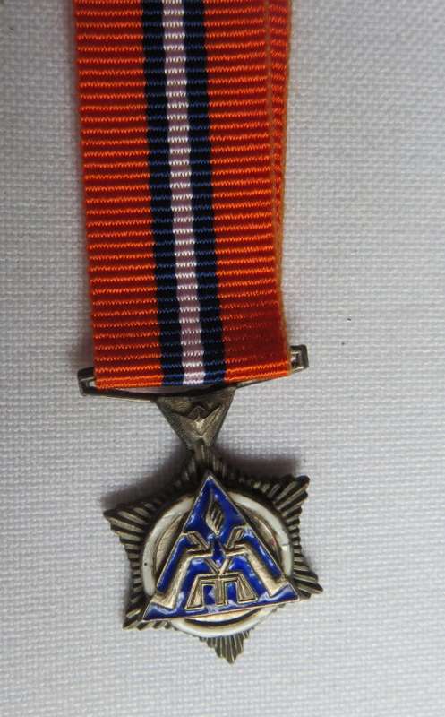 MINIATURE SAP SILVER STAR FOR MERIT