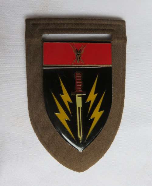 61 MECHANISED BATTALION FLASH- 5 PINS