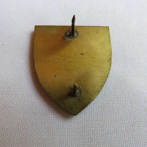 2 FIELD ENGINEER REGT. FOB BADGE - 2 PINS