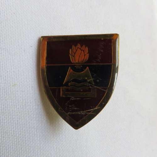 2 FIELD ENGINEER REGT. FOB BADGE - 2 PINS