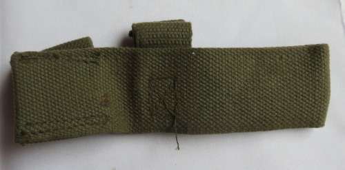 R1 WEBBING FROG